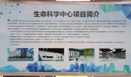 济宁医学院爆料事件最新,真相与争议交织的教育领域风波