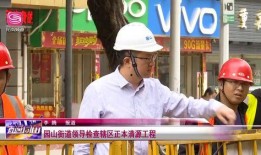 龙岗爆料新闻最新情况查询,突发事件引发关注，详情即将揭晓