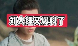 刘大锤的最新爆料是什么,揭秘娱乐圈惊人内幕